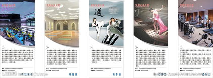 广告设计图片专题 从灵感获取到高效制作的全流程指南